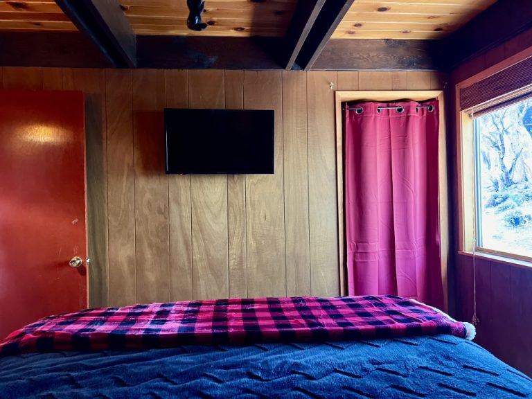 bedroom-2-closet-and-smart-tv